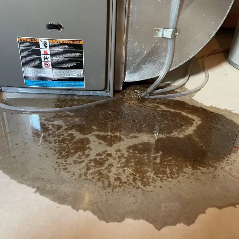 Appliance Leak Cleanup in Roselawn, IN